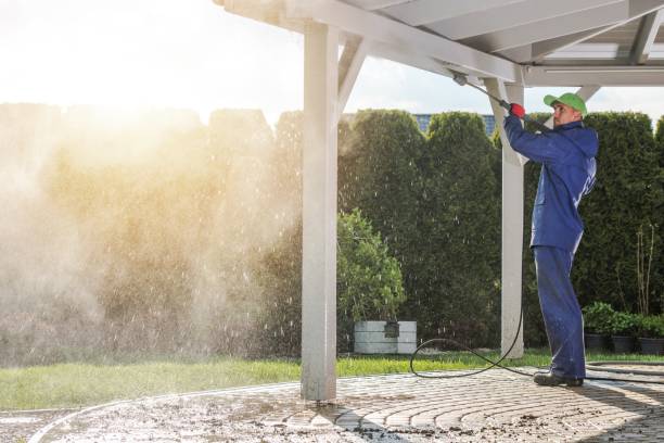 Pre-Holiday Cleaning in Macungie, PA